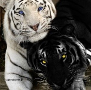 Meet your Posher, Evan